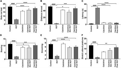 Neuroprotective and therapeutic effects of calcitriol in rotenone-induced Parkinson’s disease rat model